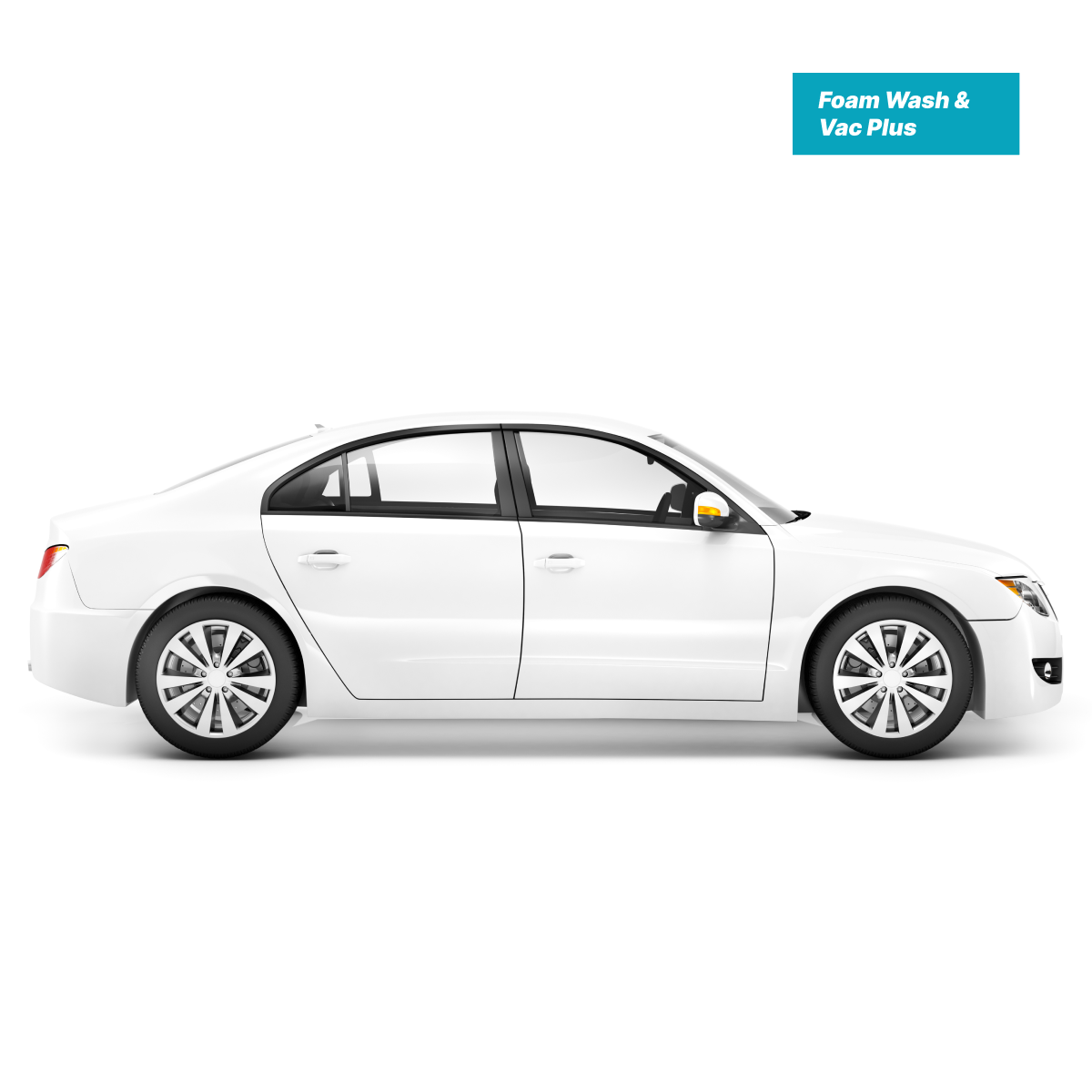 Aqua Foam Wash & Vac Plus