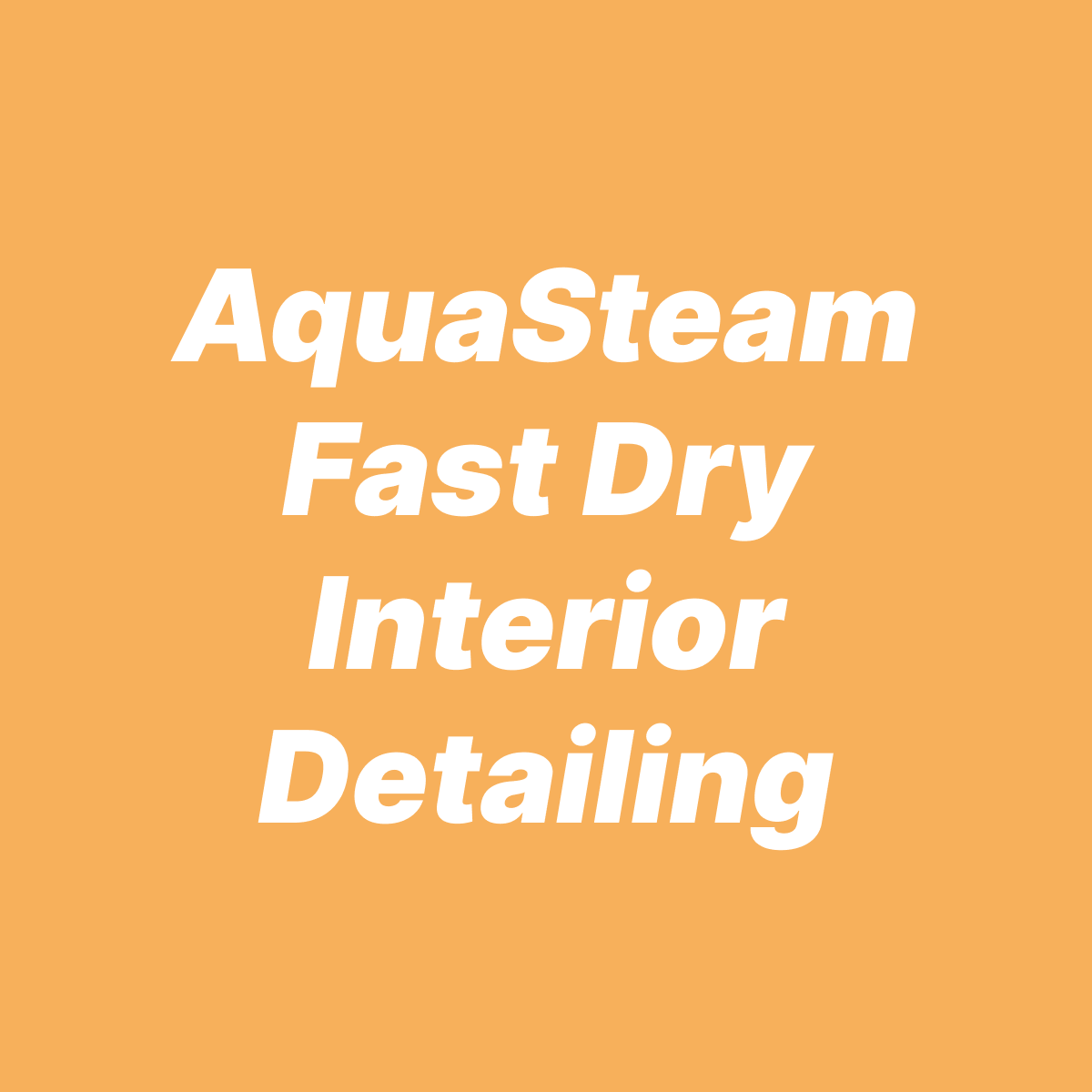 AquaSteam Fast Dry Interior Detailing Package