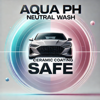 Aqua Foam Wash & Vac Plus