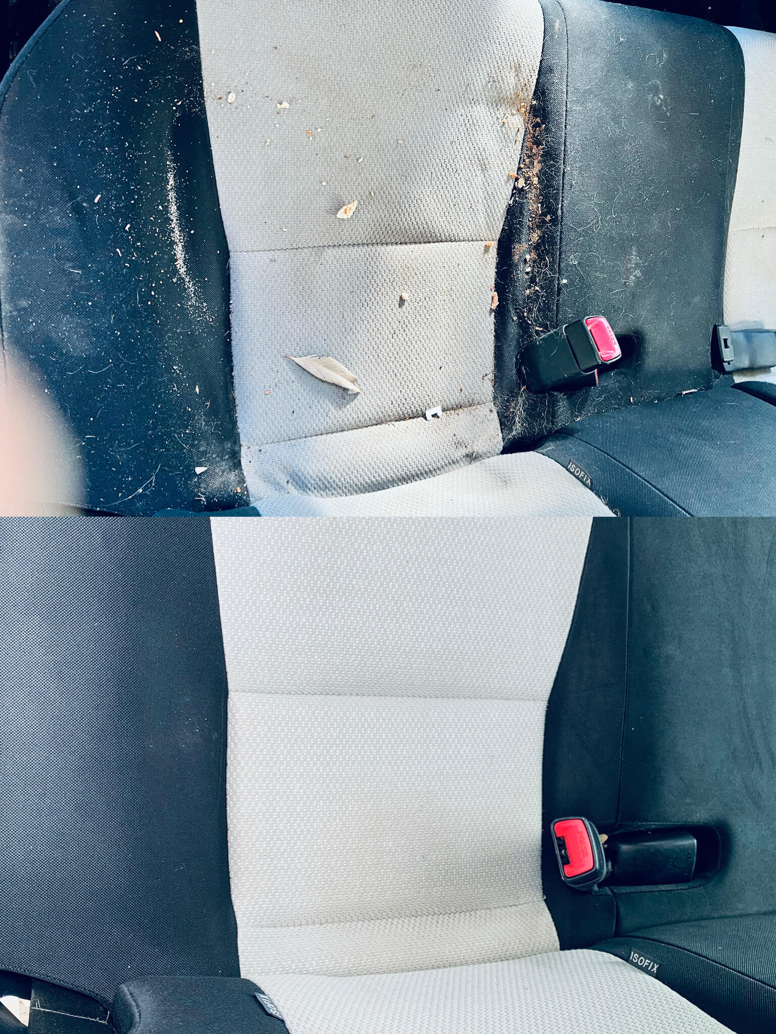 AquaSteam Fast Dry Interior Detailing
